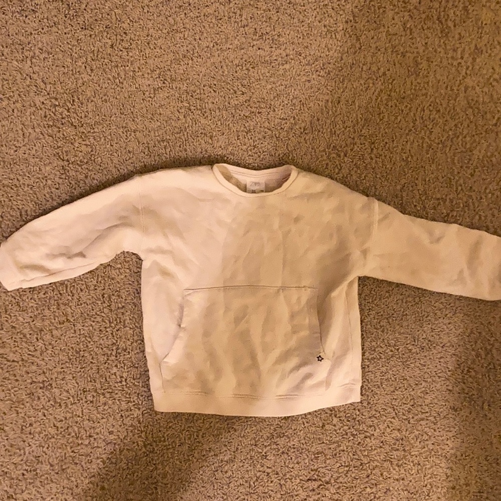 Zara sweatshirt